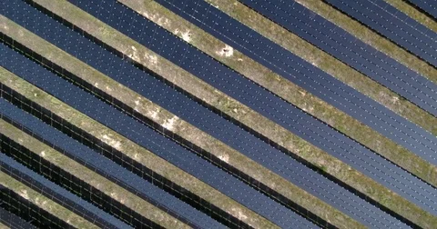 Solar Panel Farm Stock Footage 73819739