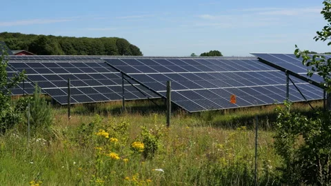 Solar panel farm generating renewable energy Stock-Footage 339558392