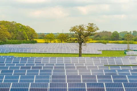 Solar Panel farm Stock Photos