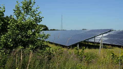 Solar panel farm producing renewable energy on a sunny day Stock Footage 339558062