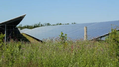 Solar panel farm producing renewable energy Stock-Footage 339558238