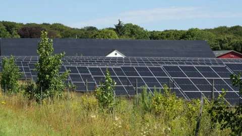 Solar panel farm producing renewable energy Stock Footage 339558304