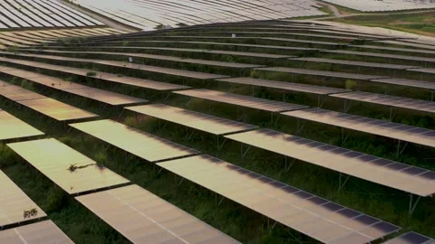 Solar Panel Field Aerial View Stock Footage 157900908