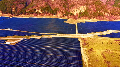 Solar panel field bordering pasture with cattle, Bulgaria Stock Footage 341759713