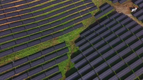 Solar panel field captures sunlight in an open area during daylight hours Vidéo 330000230