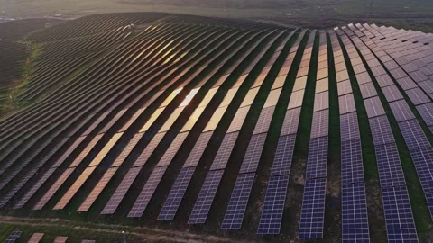 Solar panel field with many rows and bright reflections at sunset Vidéo 330003050