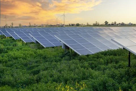 Solar Panel Field at Sunset Foto stock