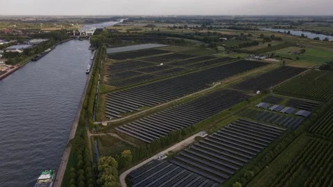 Solar panel field at Wijk bij Duurstede, The Netherlands. Energy from the sun Stock Footage 316846805
