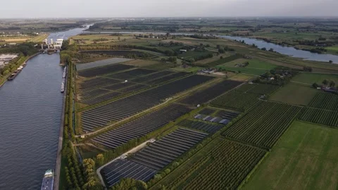Solar panel field at Wijk bij Duurstede, The Netherlands. Energy from the sun Vídeo Stock 317082730