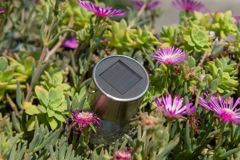 Solar panel in flowers, concept idea about solar energy and its increasingly Stock Photos
