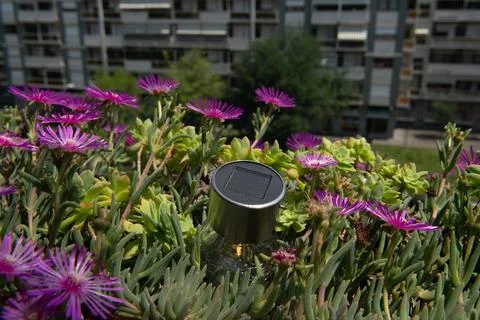 Solar panel in flowers, concept idea about solar energy and its increasingly Stock Photos