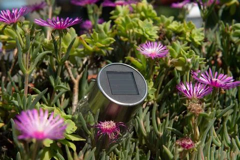 Solar panel in flowers, concept idea about solar energy and its increasingly Stock Photos