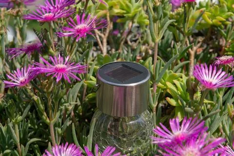 Solar panel in flowers, concept idea about solar energy and its increasingly Stock Photos