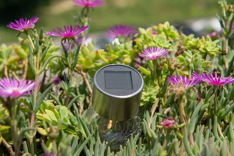 Solar panel in flowers, concept idea about solar energy and its increasingly Stock Photos