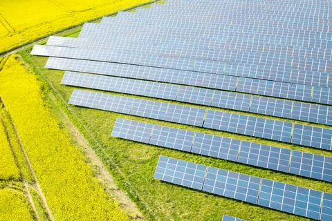 Solar panel for generation of direct current electricity in the yellow field Stock Photos