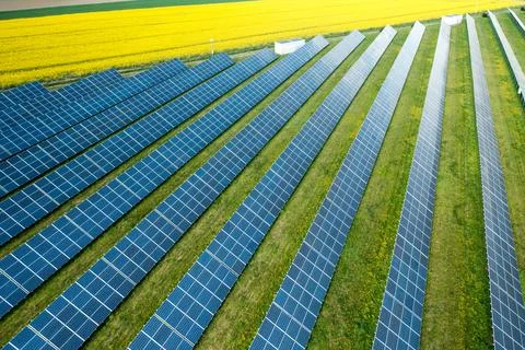 Solar panel for generation of direct current electricity in the yellow field Stock Photos