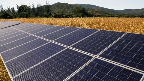 Solar panel with golden field on hillside Stock Footage 88366387