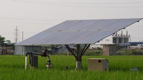Solar Panel Installation in Grassy Field Stock Footage 311721420