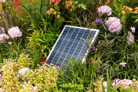 A solar panel lies on the ground surrounded by a variety of flowers and green Stock Photos