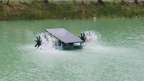 Solar panel mounted on floating platform with paddle wheel aerators that churn Stock Footage 284962101