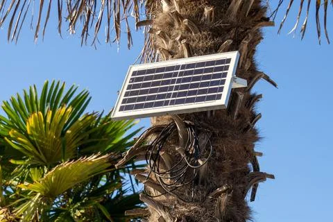 A solar panel is mounted on a tree Stock Photos