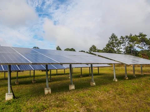 Solar panel over the green grass field in sunny day Foto stock