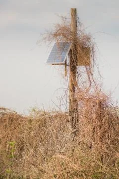 Solar panel on a pole wrapped in dry vegetation. Stock Photos