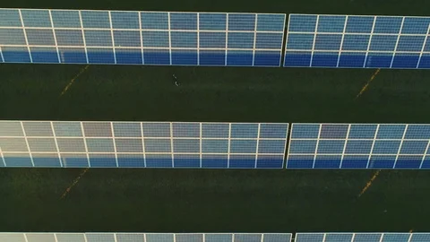 Solar panel produces green, environmentaly friendly energy from the setting sun Видео 123484633