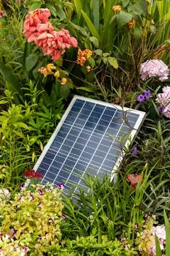 A solar panel rests on the ground surrounded by various flowers and plants. T Stock Photos