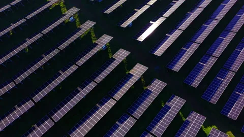 Solar panel rows reflecting golden light, Bulgaria 動画素材 340408762