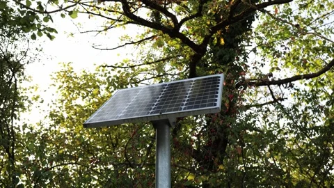 Solar panel surrounded by lush green forest branches capturing sunlight for rene Stock Footage 318778458