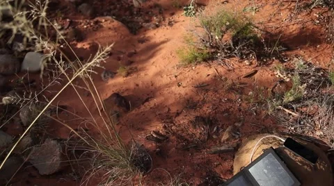 Solar panel tilt down shot Video stock 51714247