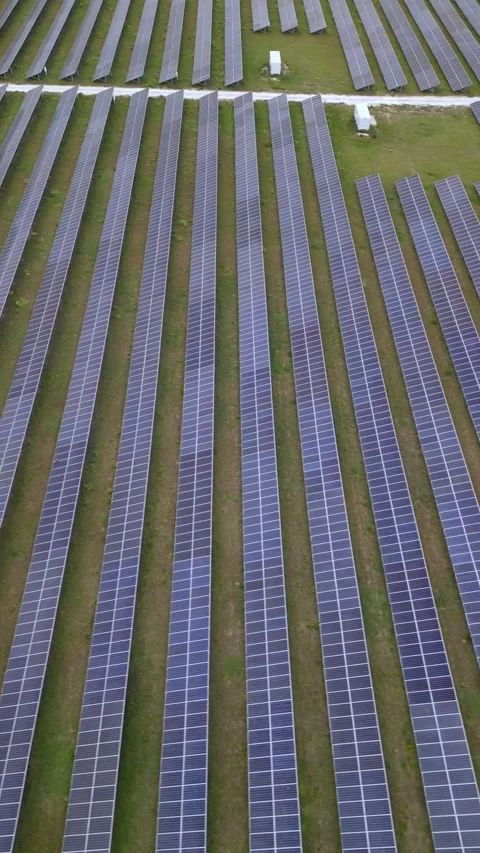 Solar panels in aerial view Stock Footage 244075110