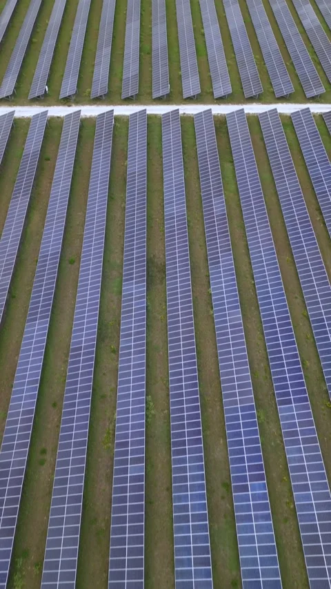 Solar panels in aerial view Stock Footage 244075113