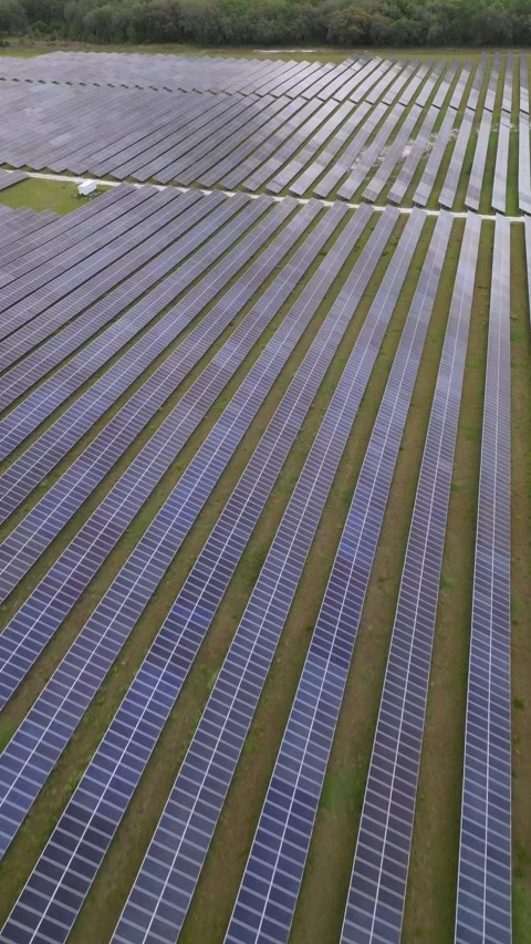 Solar panels in aerial view Stock Footage 244075123