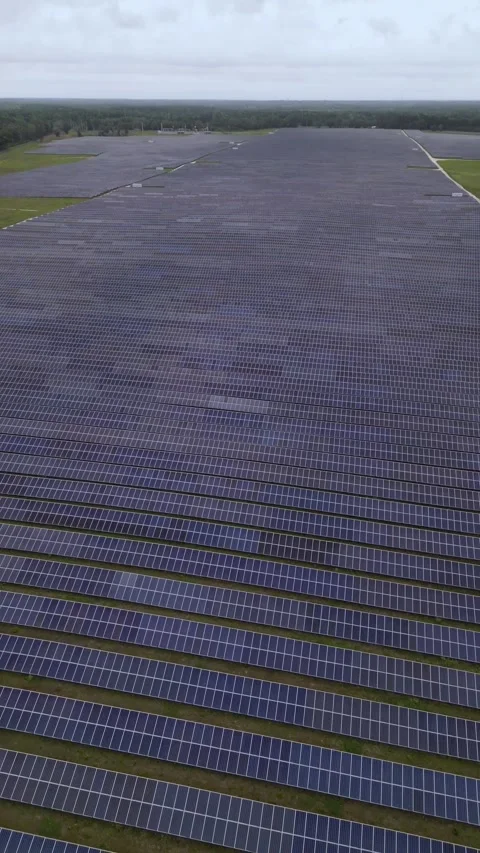 Solar panels in aerial view Stock Footage 244075289