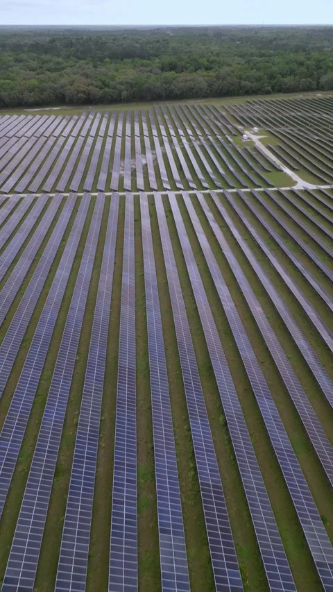 Solar panels in aerial view Stock Footage 244075301