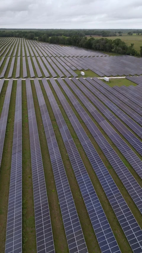 Solar panels in aerial view Stock Footage 244075302