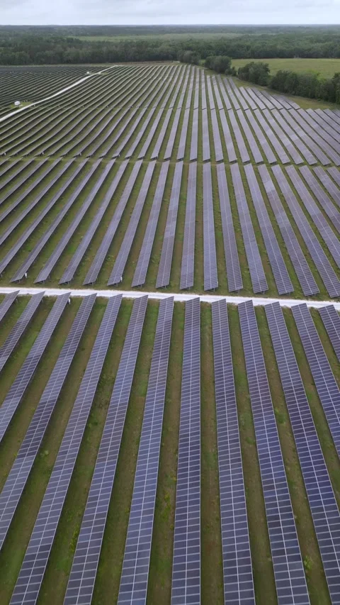Solar panels in aerial view Stock Footage 244075305