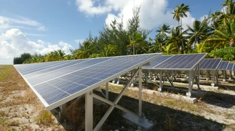 Solar panels and coconut trees Stock Footage 68701755
