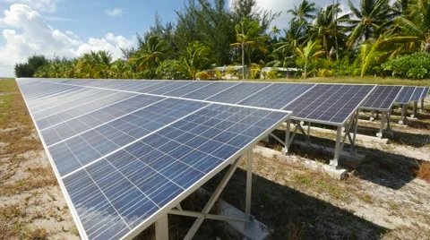 Solar panels and coconut trees Stock Footage 68701897