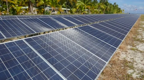 Solar panels and coconut trees Stock Footage 68702269