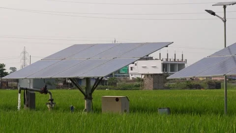 Solar Panels and Control Box in Green Field Stock Footage 311721392