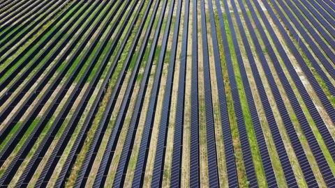 Solar panels are arranged in straight lines on land with green vegetation in the Stock Footage 341135876