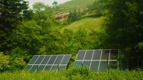 Solar panels are installed in a vibrant green field, surrounded by diverse Video stock 312632072
