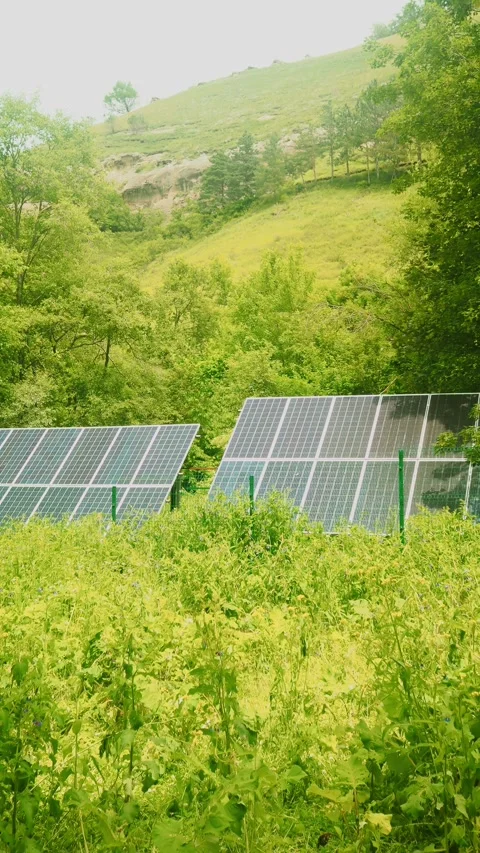 Solar panels are positioned amidst vibrant greenery in a countryside location Stockbeeldmateriaal 312632007