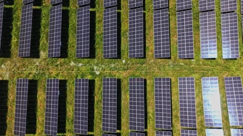 Solar panels arranged on a large field during daylight hours Stock Footage 339019909