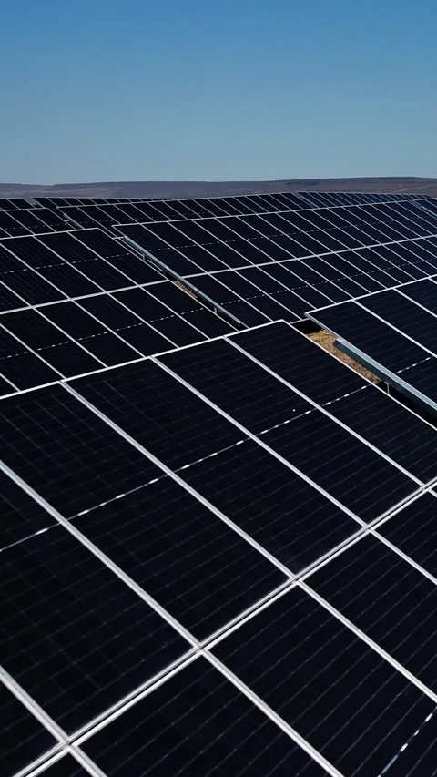 Solar panels arranged in rows capture sunlight on a clear day, showcasing their 库存影片 338398258