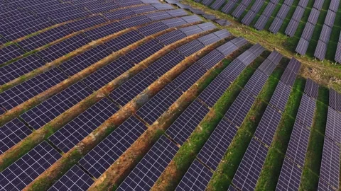 Solar panels arranged in rows on a field during daylight hours Stock Footage 330001719