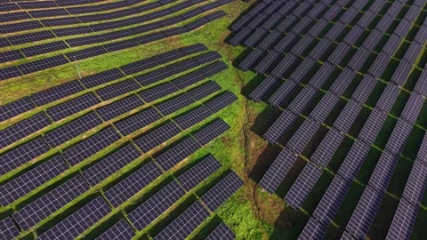 Solar panels arranged in rows on land with green grass under sunlight Vídeos de archivo 330000534